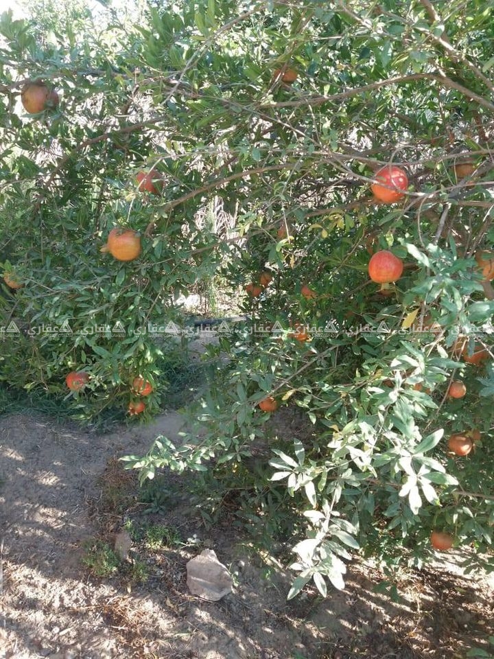 للبيع أرض طابو فى خانيونس شرق السكة 