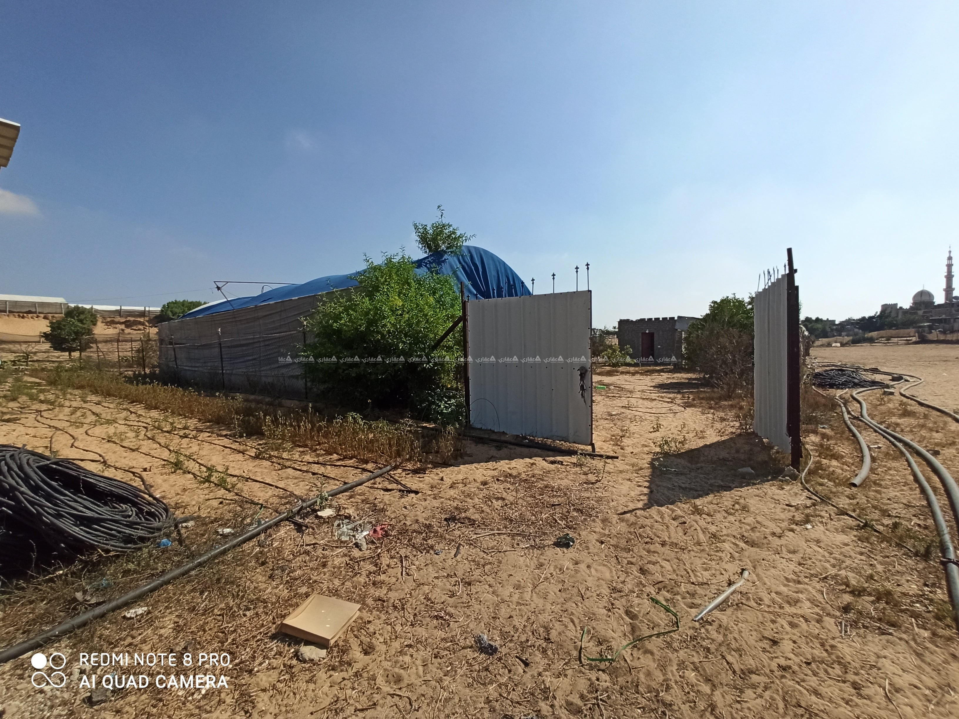 أرض دونم للبيع رفح - مراج - حي النصر