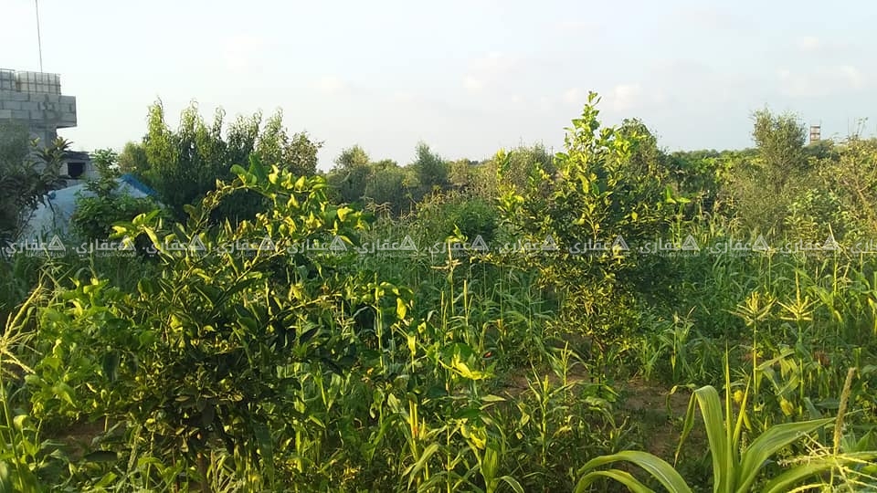 قطعة أرض طابو 624 متر للبيع