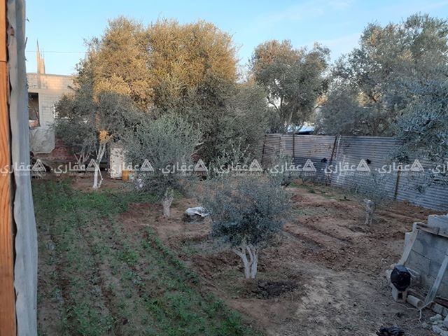 أرض مزروعة زيتون ومحوطة للبيع