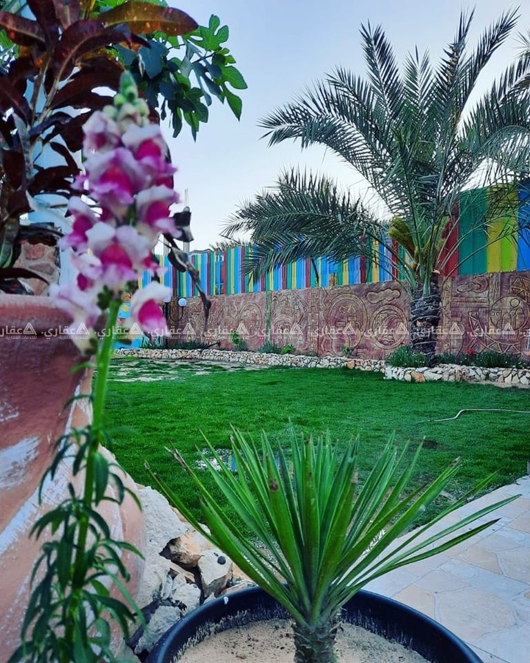 شاليهات روز ماري