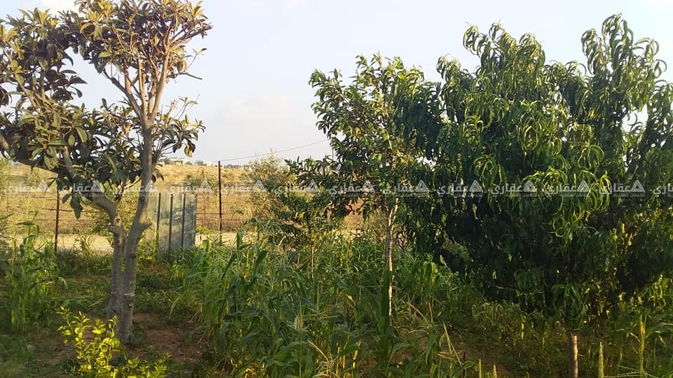 قطعة أرض طابو 624 متر للبيع