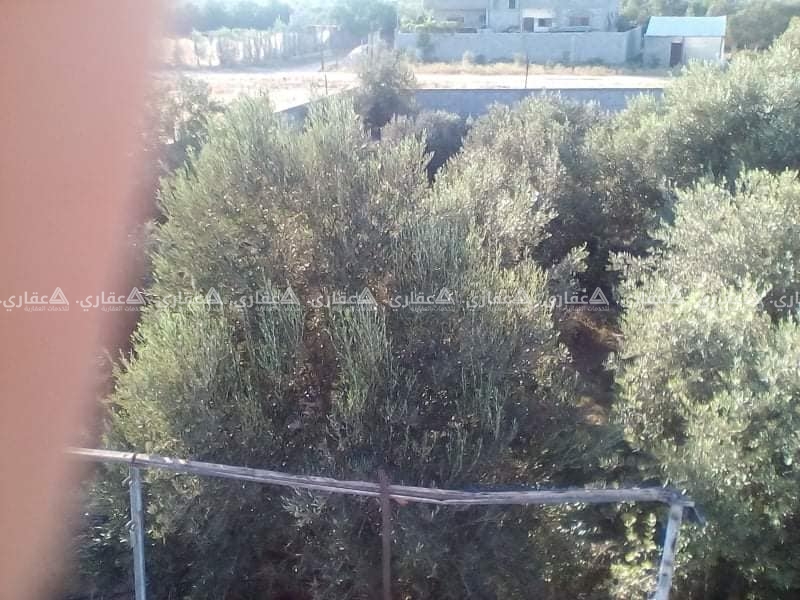 قطعة ارض للبيع 