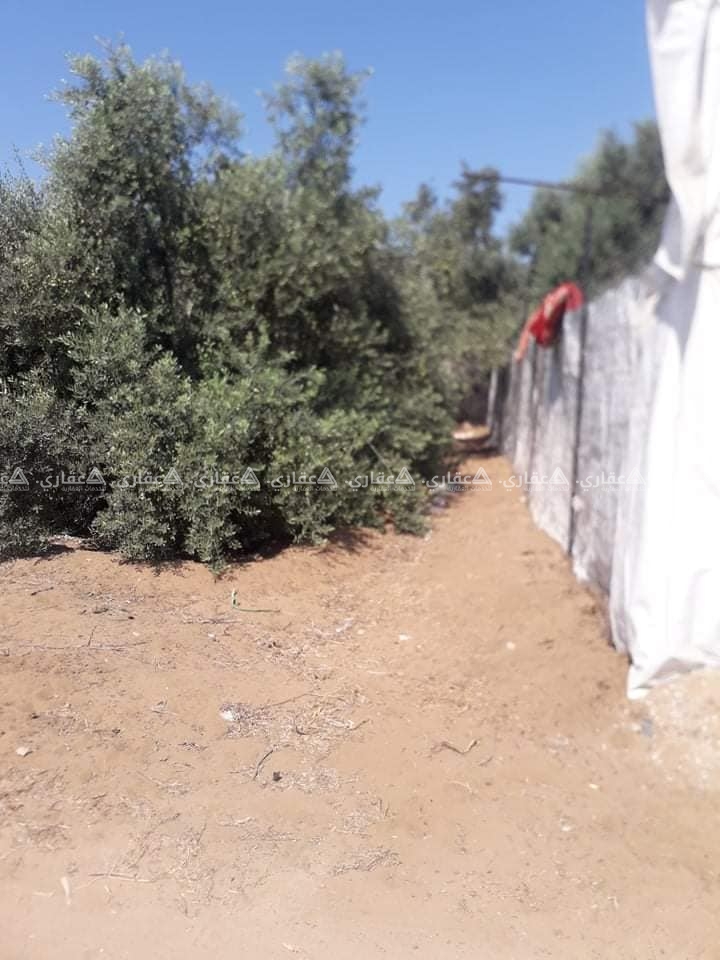 قطعة أرض للبيع في النصيرات