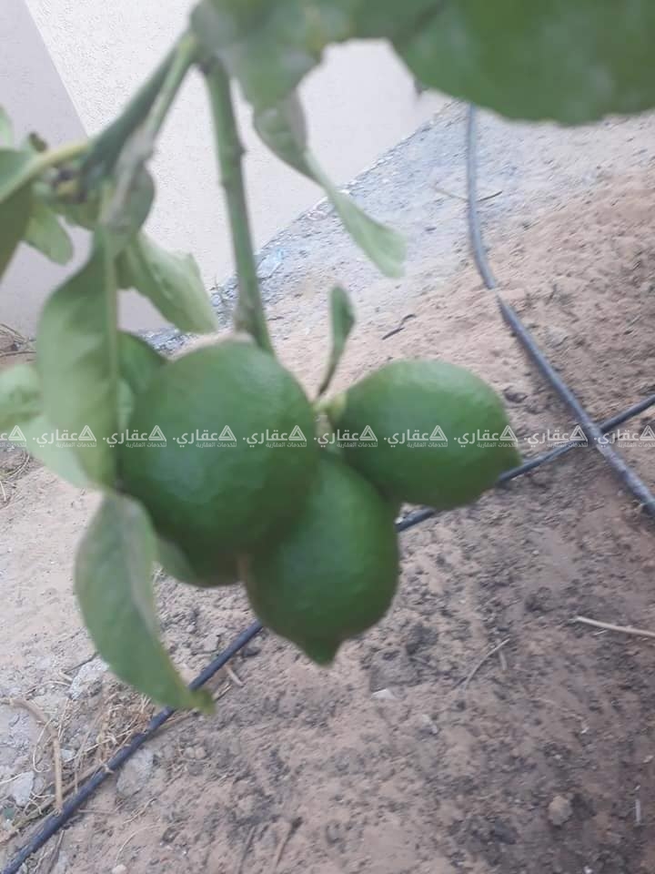 أرض مميزة بسعر مناسب للبيع