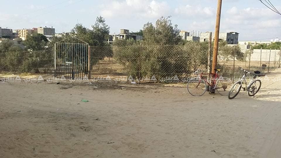 ارض للبيع في رفح . خربة العدس