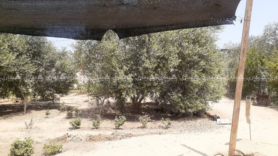 دونمين أرض للبيع