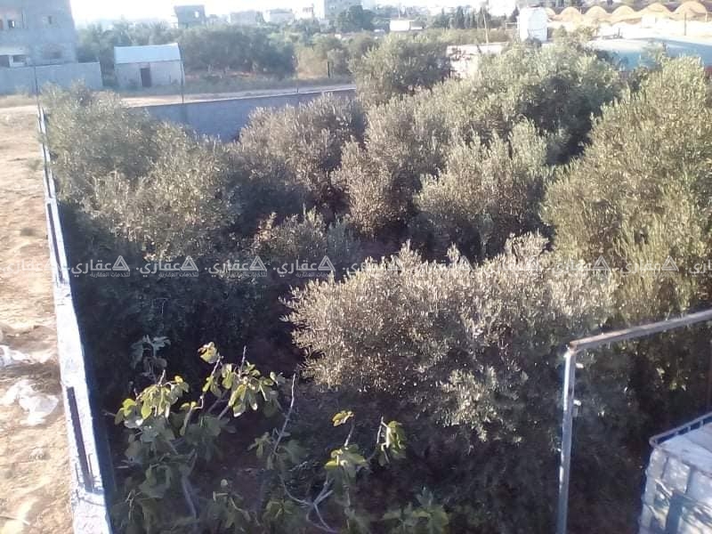 قطعة أرض للبيع في الزوايدة 