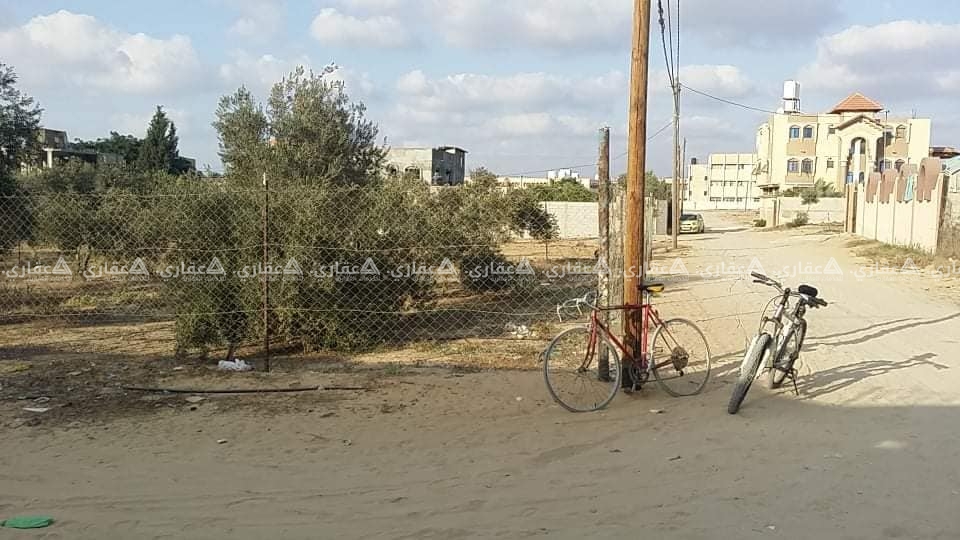 ارض للبيع في رفح . خربة العدس