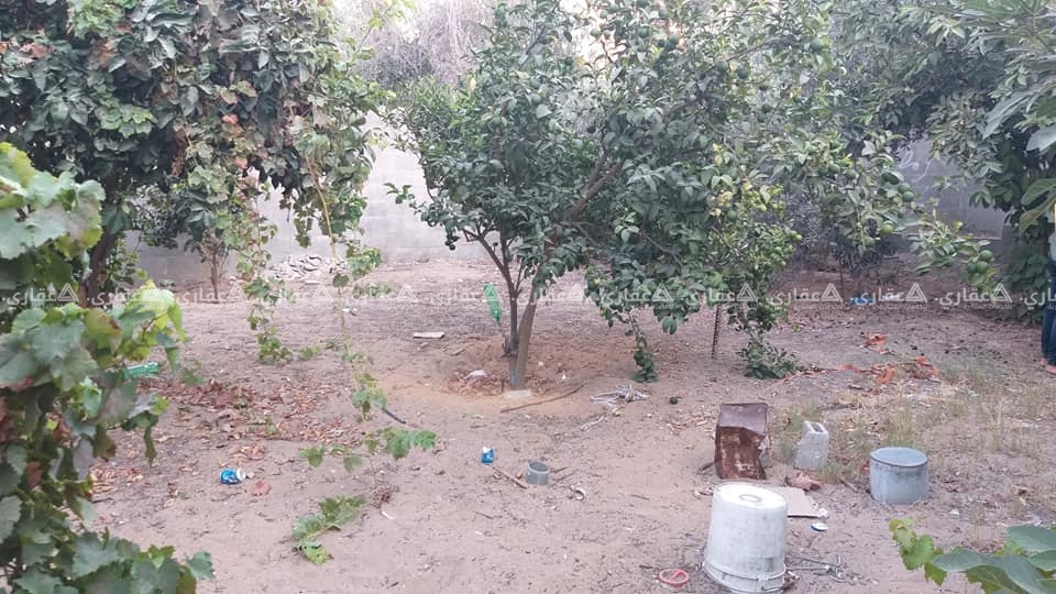 قطعة ارض مشجرة ومسورة للبيع