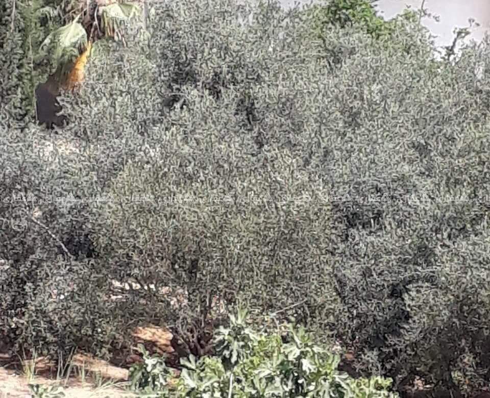 أرض مميزة بسعر مناسب للبيع