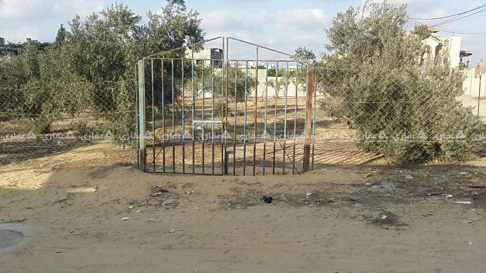 ارض للبيع في رفح . خربة العدس