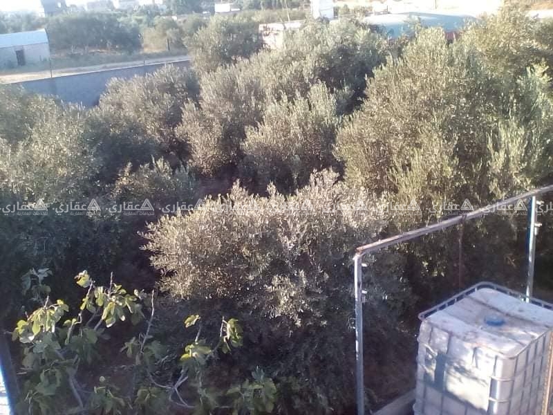 قطعة أرض للبيع في الزوايدة 