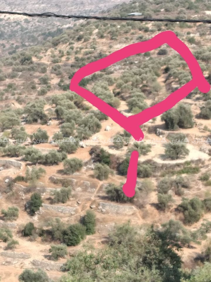 أرض للبيع في عجول