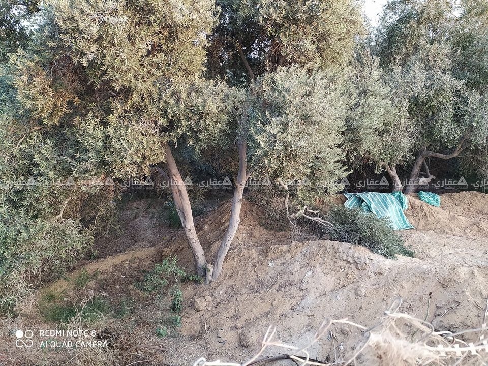 قطعه أرض410م  للبيع فى الزوايده 