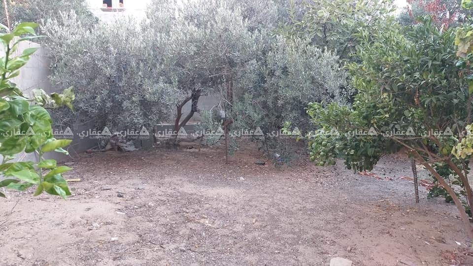 قطعة ارض مشجرة ومسورة للبيع