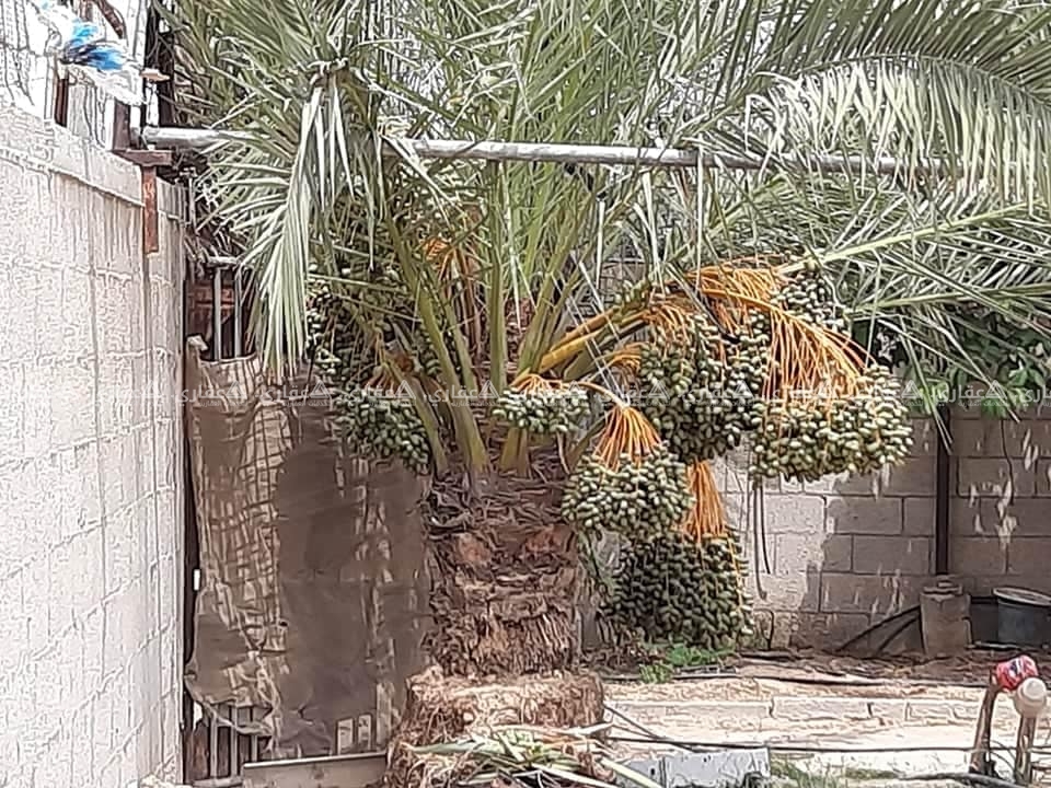 أرض طابو للبيع مسورة باطون