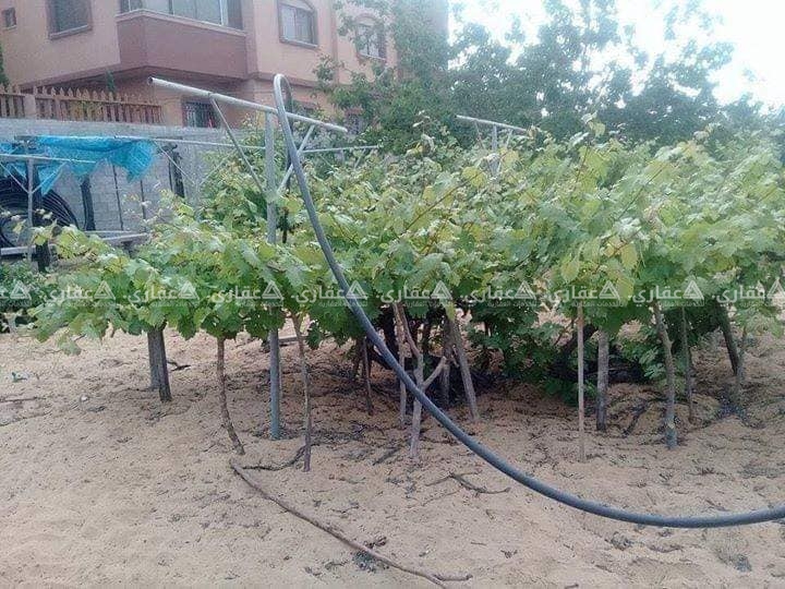 قطعة ارض منطقة الشيخ عجلين