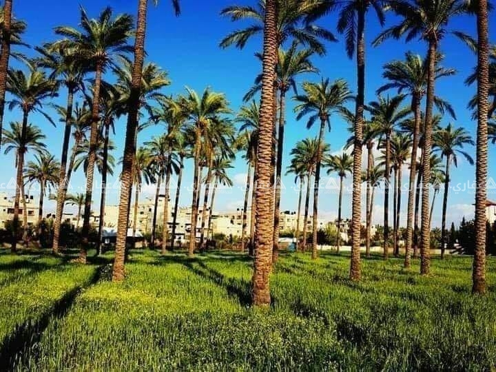 قطعة أرض للبيع لأصحاب المصانع والشركات