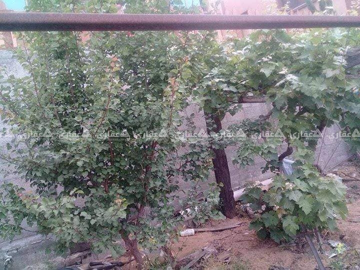قطعة ارض منطقة الشيخ عجلين