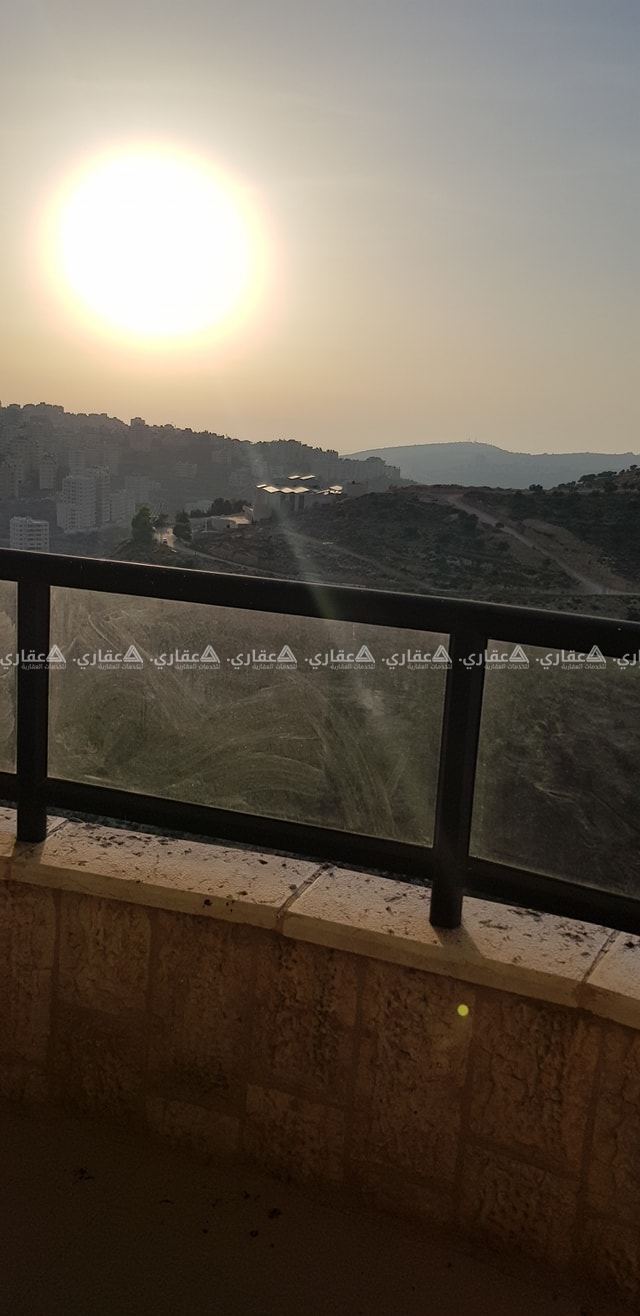 شقة فارغة للايجار