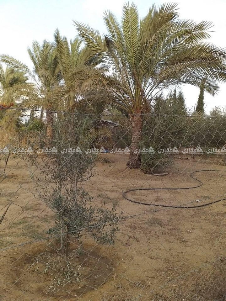 قطعة أرض بمنطقة في غاية الجمال والهدوء 