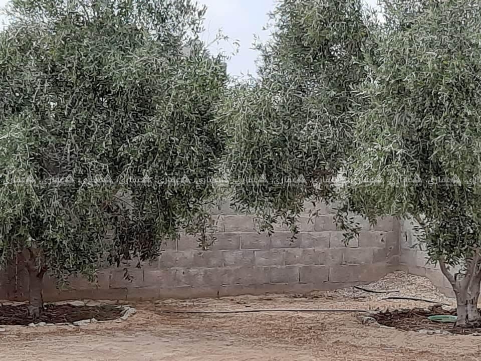 أرض طابو للبيع مسورة باطون