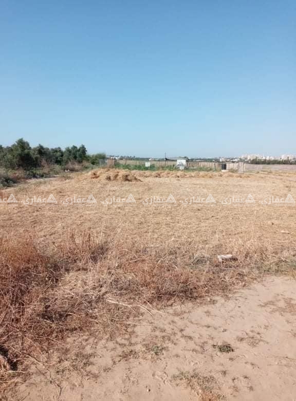 قطعة ارض برفح