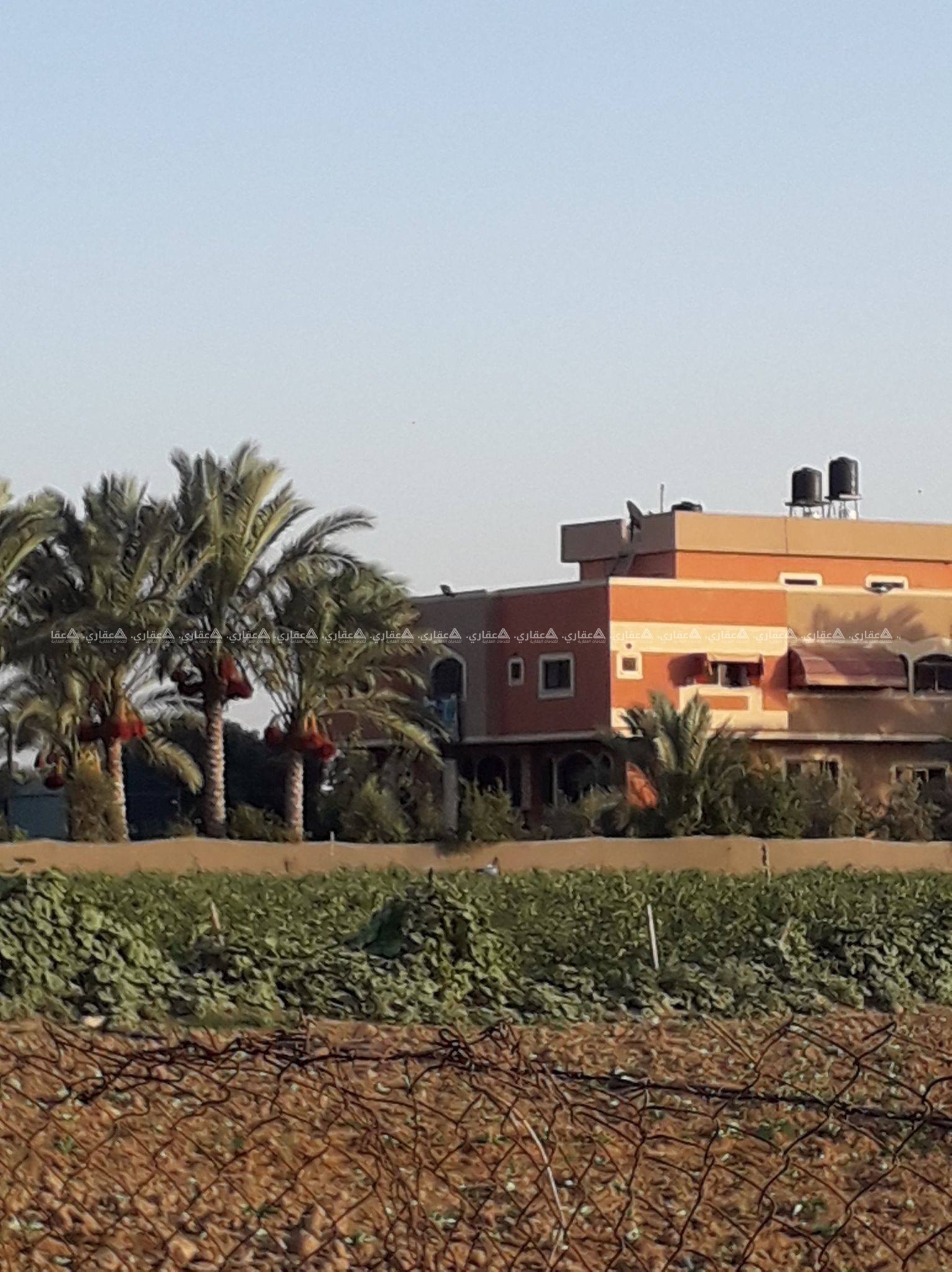 قطعه ارض شرق دير البلح