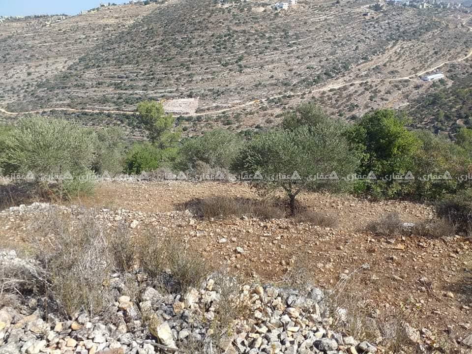 ارض للبيع منطقة دير السودان