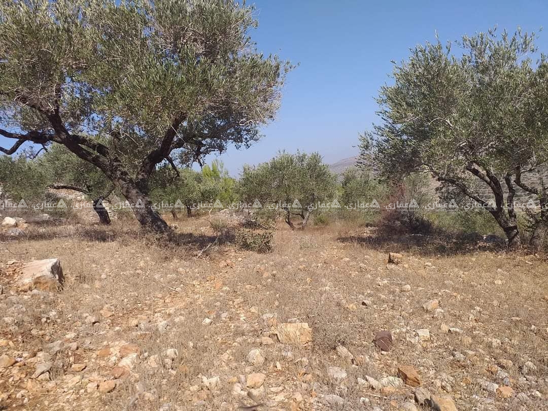 ارض للبيع منطقة دير السودان