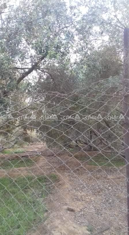 قطعة ارض طابو للبيع