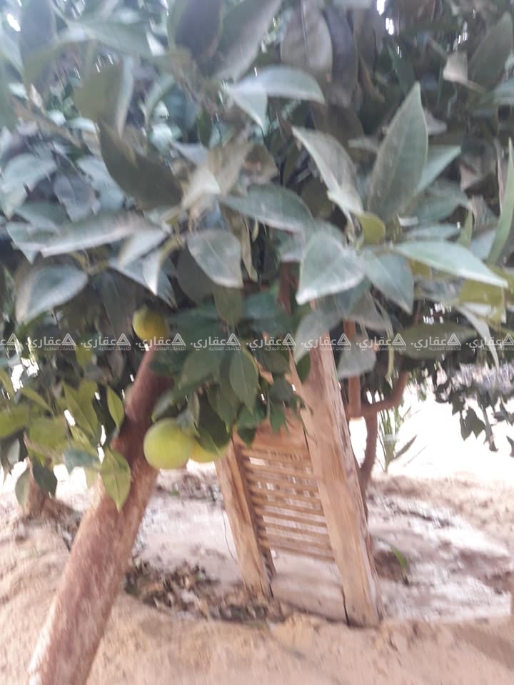 قطعة أرض للبيع في الفخاري