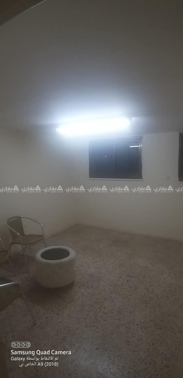 استوديو للايجار في بيتونيا