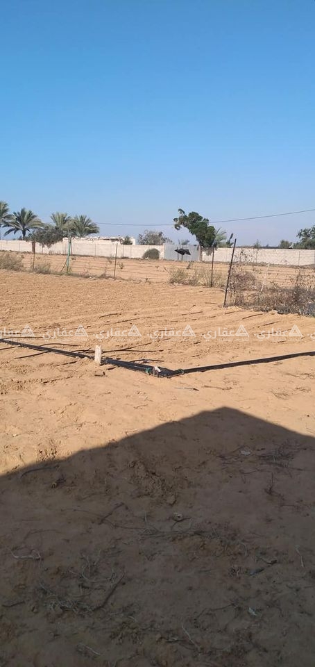 قطعة ارض برفح
