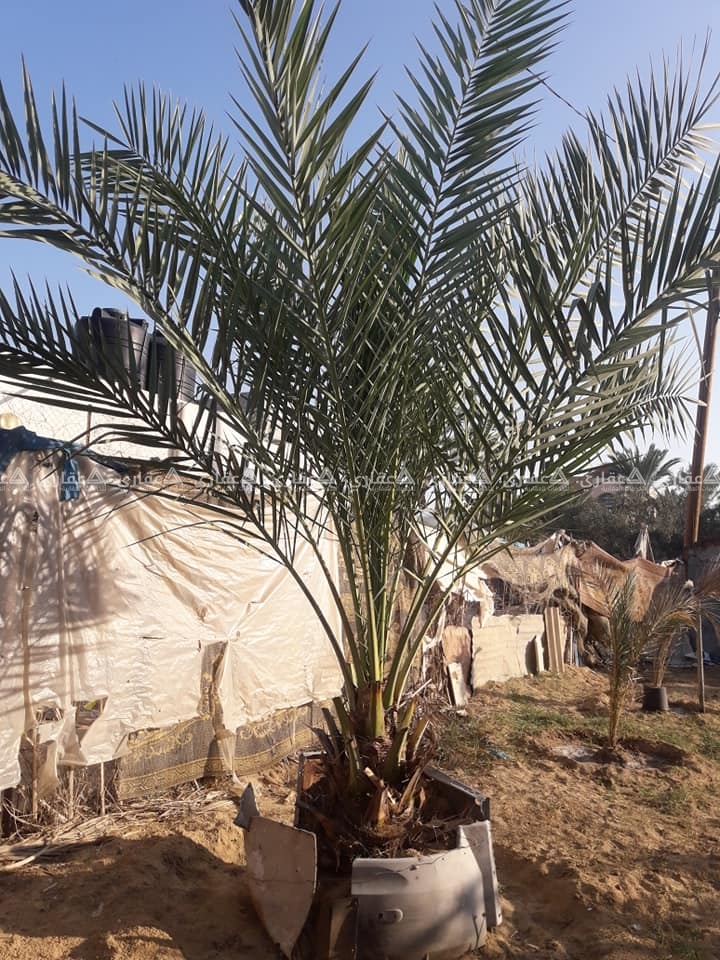 قطعة أرض للبيع في الفخاري