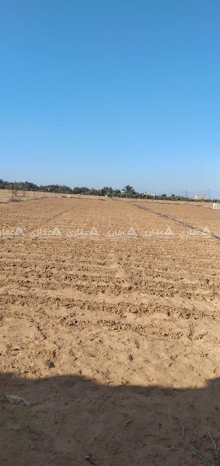 قطعة ارض برفح