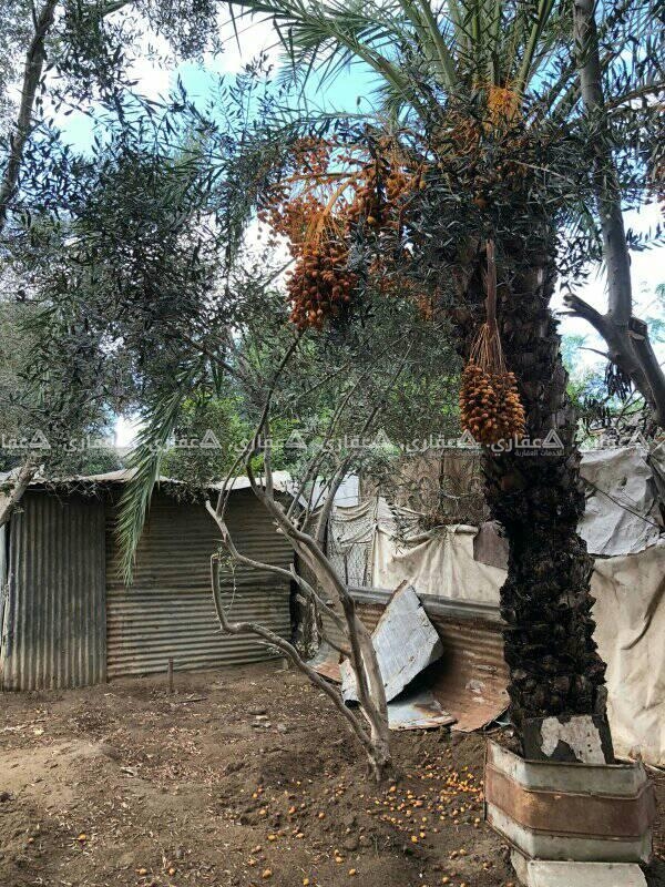 أرض للبيع في الزوايدة