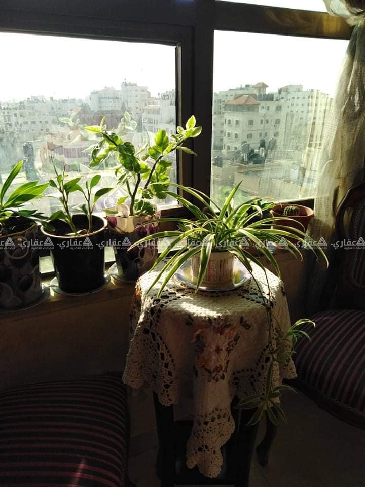 شقة للبيع وسط الرمال