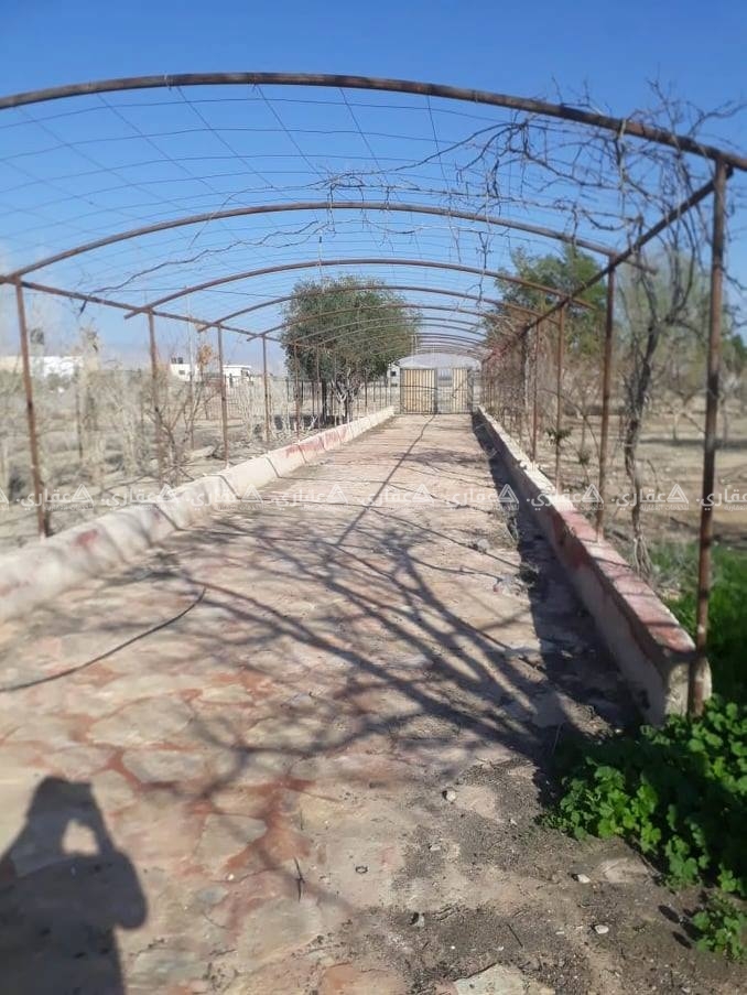  قطعة أرض للبيع مع بناء في العوجا