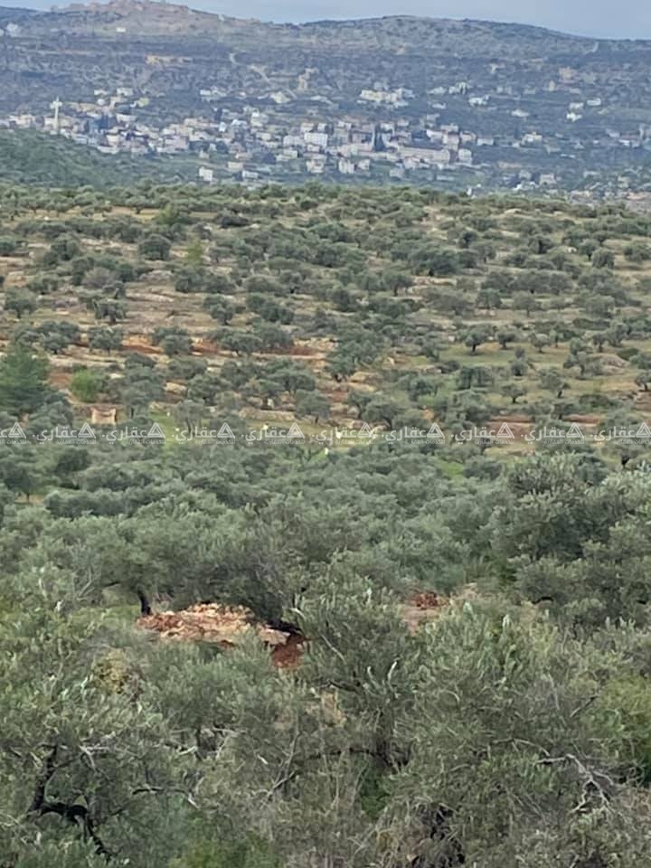قطعة أرض  على سفحه جبل من أراضي ديرالسودان