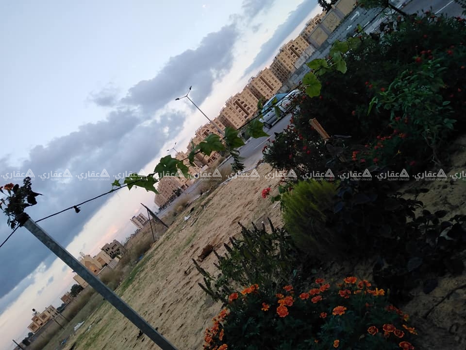 دونم أرض للبيع قرب أصداء 