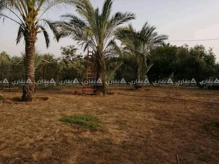 قطعة ارض في منطقة سكنية هادئة