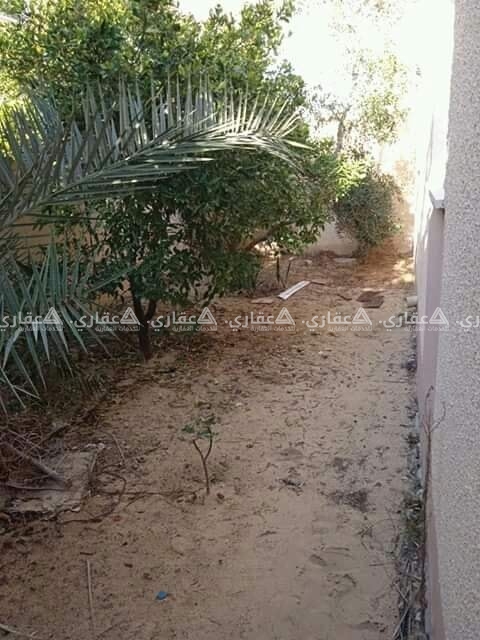 منزل للبيع غرب مسجد الحبيب محمد.