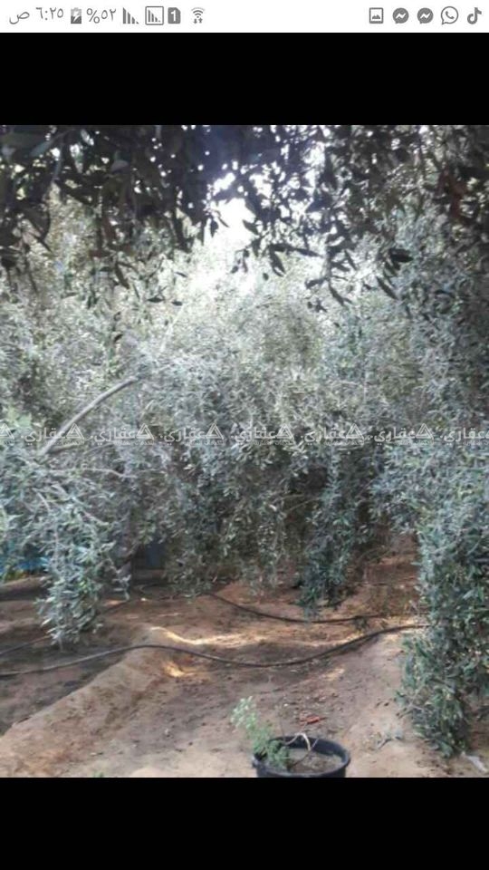 قطعة ارض طابو للبيع او البدل