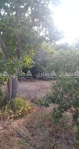 أرض للبيع فيها بيت مشطب