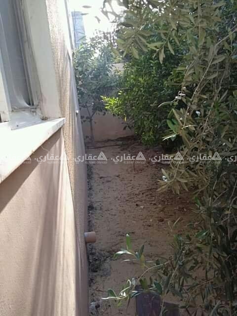 منزل للبيع غرب مسجد الحبيب محمد.