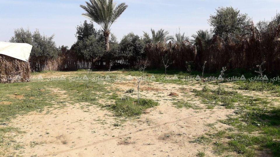 قطعه أرض في النصيرات الشماليه
