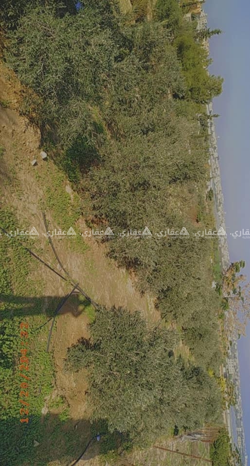 قطعة أرض بعد نقطة شرطة ميراج