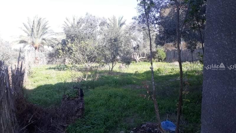منزل في حي الزعفران